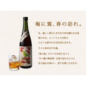 画像2: 【高級梅酒】月ヶ瀬の梅原酒  無濾過  1800ml