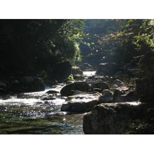 画像5: 【プレミアム芋焼酎】無何有(むかう) 長期熟成焼酎 桐箱入り 1800ml