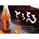 とろとろの梅酒 1800ml