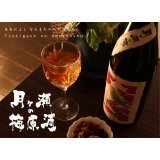 【高級梅酒】月ヶ瀬の梅原酒  無濾過  1800ml