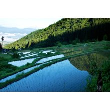 他の写真2: 水尾 ＜一味＞ 純米  1800ml