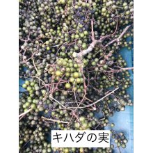 他の写真2: 橘花ジン＜邂逅＞(ステンレスボトル) 45度 500ml