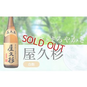 画像2: 屋久杉(やくすぎ)  1800ml