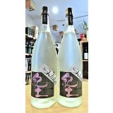 【8/5(火)〜】紀土 Shibata's 純米大吟醸 be cool！(瓶火入れ)  1800ml
