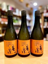 亀泉 純米大吟醸 兵庫山田錦 生・原酒  720ml
