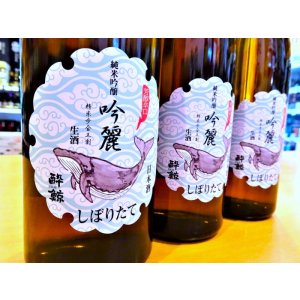 画像2: 酔鯨 吟麗 純米吟醸 しぼりたて・生  1800ml
