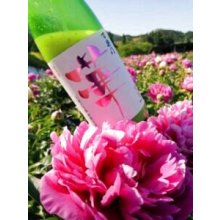 他の写真1: 百楽門＜華＞ 純米吟醸(生)　720ml　※芍薬華酵母仕込み