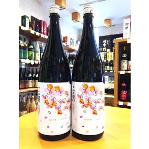 画像1: 小左衛門 純米吟醸 桜ラベル おりがらみ生酒  1800ml