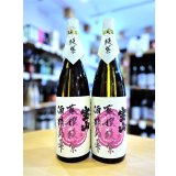 蒸撰綾紫 25度 1800ml