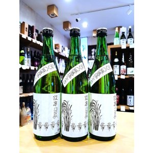 画像1: 篠峯 伊勢錦 純米 中取り 無濾過・生・原酒 　720ml