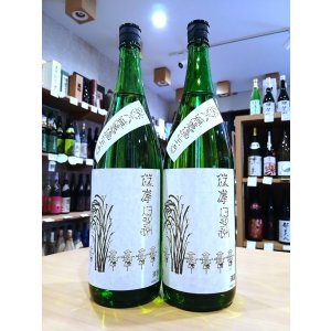 画像1: 篠峯 伊勢錦 純米 中取り 無濾過・生・原酒 18000ml