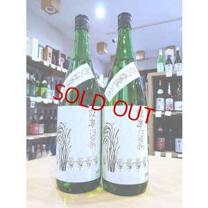 画像1: 篠峯 伊勢錦 純米 中取り 無濾過・生・原酒 18000ml