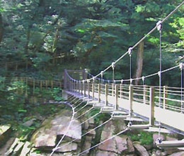 画像4: 【プレミアム芋焼酎】無何有(むかう) 長期熟成焼酎 桐箱入り 1800ml (4)