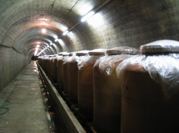 画像3: 【終売】麦焼酎 揺籃(ようらん)  720ml (3)