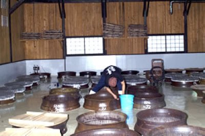 画像3: 屋久島 大自然林(芋)   1800ml