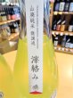 画像3: 【２月上旬〜】楽の世 山廃仕込純米 滓絡み 生・原酒  2025BY　720ml (3)