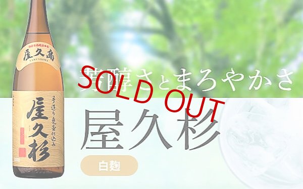 画像2: 屋久杉(やくすぎ)  1800ml (2)