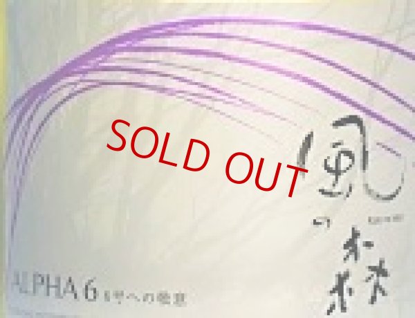 画像3: 風の森 ALPHA-6 ＜６号酵母×白麹＞真中採り 生酒　500ml (3)