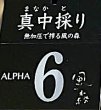 画像2: 風の森 ALPHA-6 ＜６号酵母×白麹＞真中採り 生酒　500ml (2)