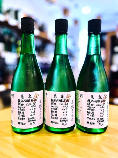 画像1: 亀泉 CEL-24 土佐うらら 純米吟醸 生酒　720ml (1)