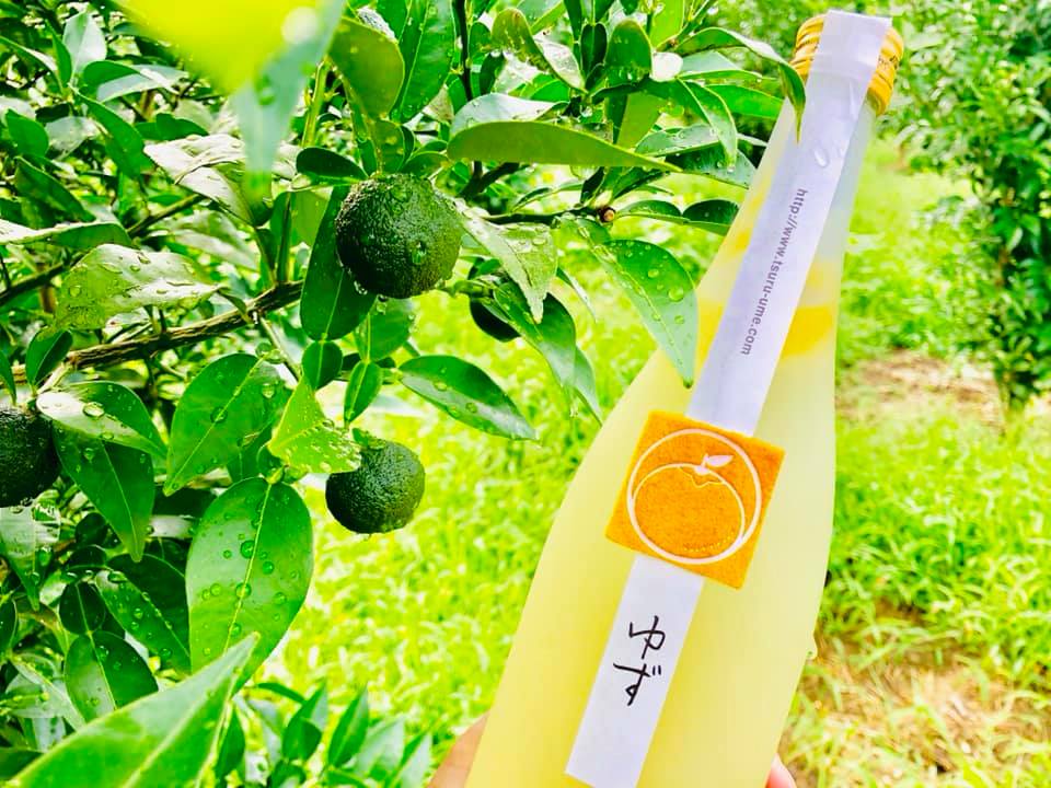 鶴梅 ゆず】和歌山県・平和酒造の「鶴梅」シリーズ